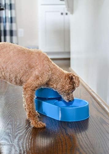The 3-in-1 Ant Free Pet Dish (Large Blue)