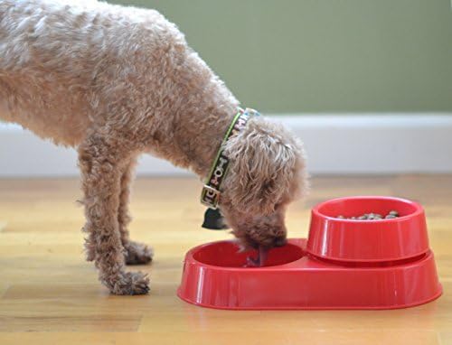 The 3-in-1 Ant Free Pet Dish