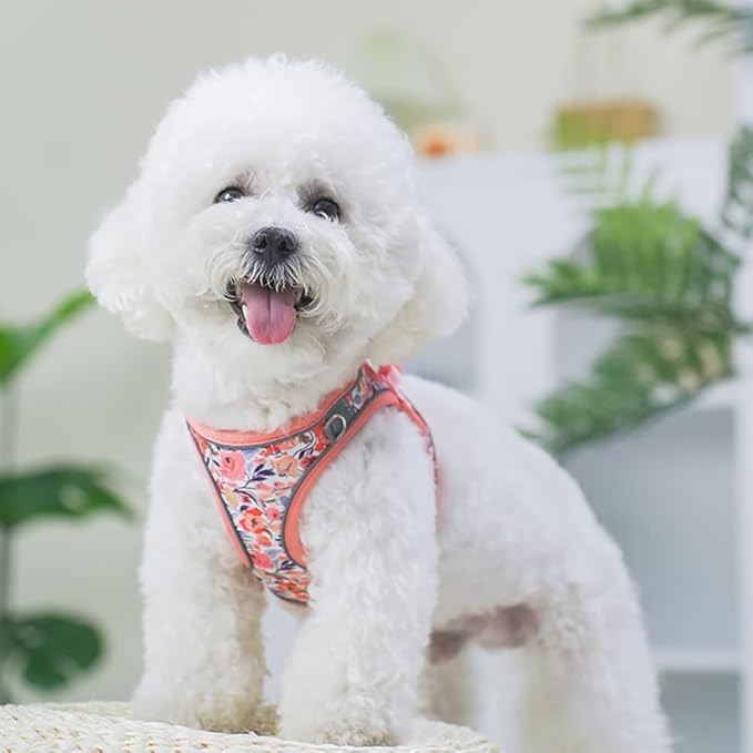 Step in Dog Harness and Leash Set, Flower Adjustable Easy Walk Puppy Harnesses, Soft Mesh Pet Vest Harness Small Size Dog Adjustable No Pull Dog Harness for Small Dogs and Cats(Pink, XXS)