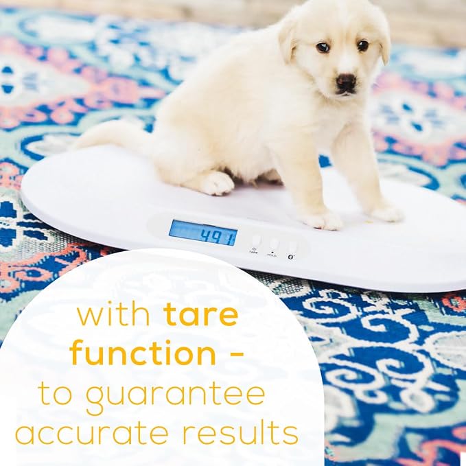 Beurer BY90 Digital Baby & Pet Scale with Bluetooth for Infants, Cats & Dogs, Weighing in Lbs/Oz/Kg up to 44 lbs, Hold & Tare Function for Accuracy & Curved Platform