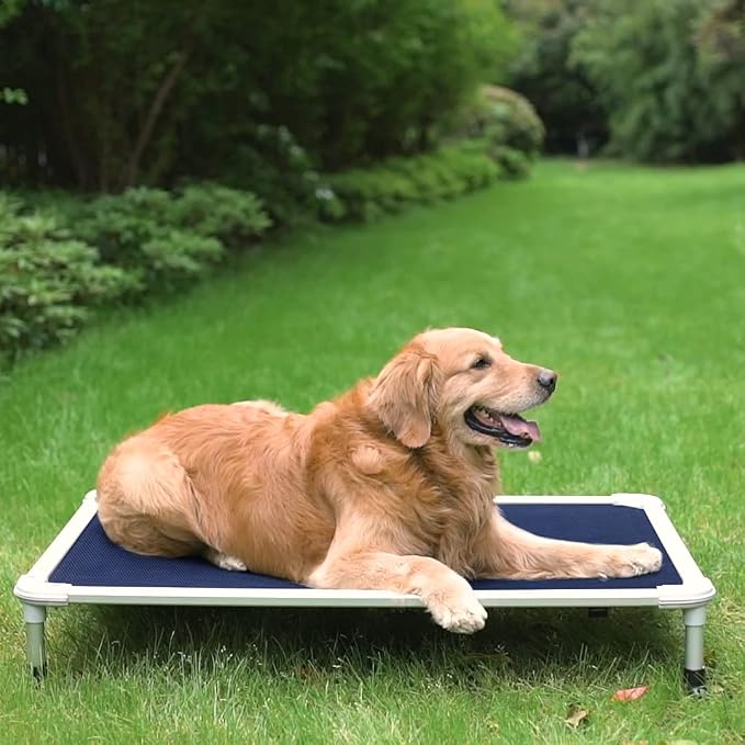 Veehoo Chew Proof Elevated Dog Bed, Cooling Raised Pet Cot, Silver Aluminum | Indestructible Dog Bed with Durable Textilene Mesh Fabric, No-Slip Feet for Indoor or Outdoor Use, 42", Large, Blue
