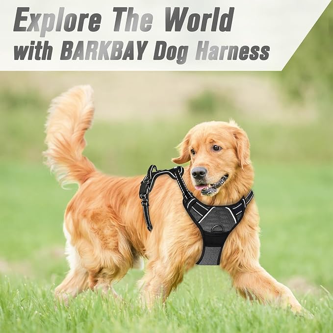 BARKBAY Dog Harness No Pull for Small Sized Dog Front Back Clips,Dog Vest | Soft Padded No Choke With Handle,Easy On&Off,Adjustable Reflective For Walking Training Running(Dark Grey,S)