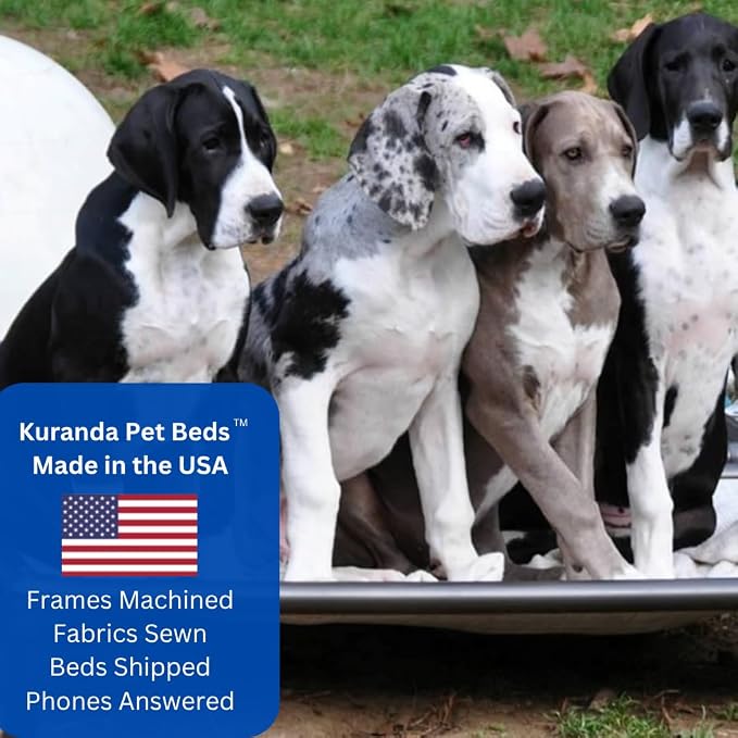 Kuranda Chewproof Elevated Dog Bed - Walnut PVC - 30" x 20" - Sunsure Textilene Outdoor Mesh - Birch