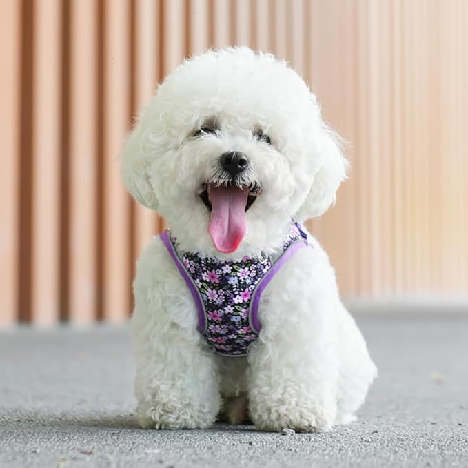 Step in Dog Harness and Leash Set, Flower Adjustable Easy Walk Puppy Harnesses, Soft Mesh Pet Vest Harness Small Size Dog Adjustable No Pull Dog Harness for Small Medium Dogs(Purple, S)