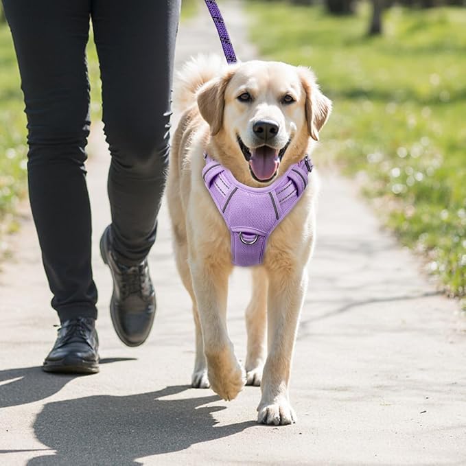 BARKBAY No Pull Dog Harness Large Reflective Dog Harness with Front Clip and Easy Control Handle for Walking Training Running with ID tag Pocket(Violet Purple,L)