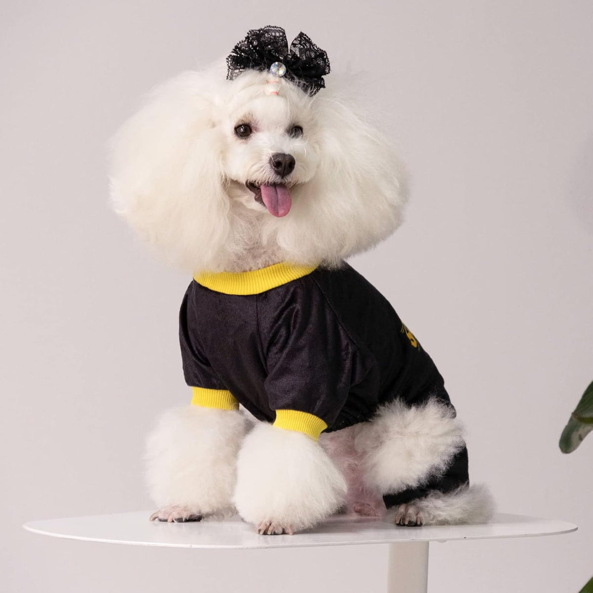 CuteBone Dog Halloween Pajamas Puppy Onesies Small Dogs Soft Pjs Coat Cat Apparel Comfy Pet Christmas Clothes Outfit Doggie Bodysuit P264XS