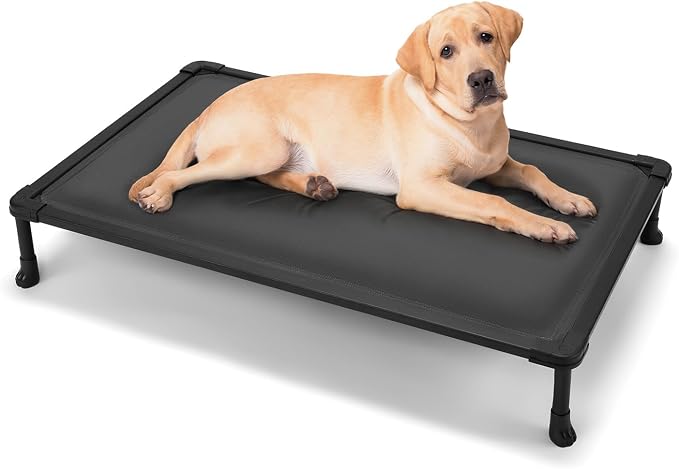 Veehoo Chew Proof Elevated Dog Bed, Padded Indestructible Raised Dog Cot | Orthopedic Dog Platform Bed with Soft Padded Mat, Durable Waterproof Pet Cot for Indoor, Outdoor or Crate, 41-Inch, Grey