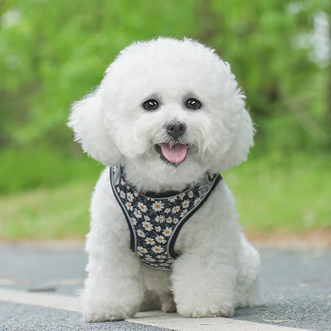 Step in Dog Harness and Leash Set, Flower Adjustable Easy Walk Puppy Harnesses, Soft Mesh No Pull Pet Vest Harness for Small Medium Dogs(Daisy, S)