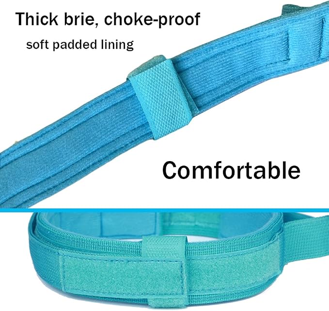Tactical Dog Collar for Large Dogs with Control Handle,Blue,S | 1000D Heavy-Duty Nylon Fabric,Quick-Release Metal Buckle,Adjustable Fit,Soft-Padded Webbing,D-Ring,for Training & Hiking