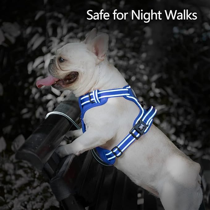 PoyPet No Pull Dog Harness, Reflective Vest with 2 Leash Clips & Handle | Lockable Neck Release Buckle, No Choke, Adjustable, Soft Padded, for Walking Training, Royal Blue, X-Large