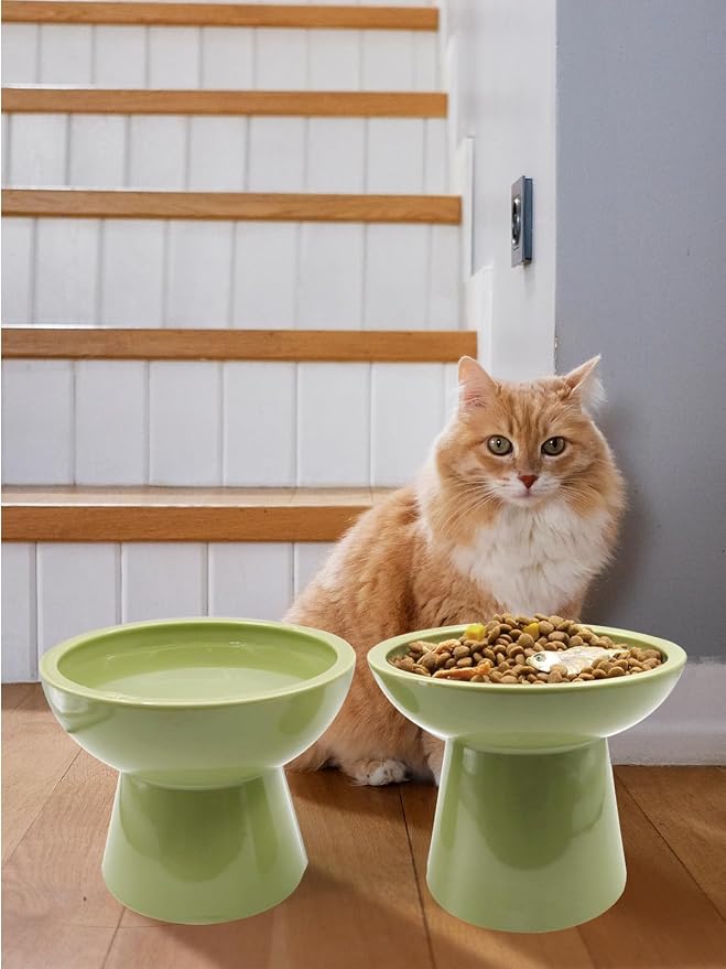 LoeJan Elevated Food and Water Bowls Set, Extra Wide and Raised Ceramic Feeder, Anti-Vomit Whisker-Free Pressure Cat Bowl for Kittens to Adult Cats, Small Dogs (Green, Water Bowl)