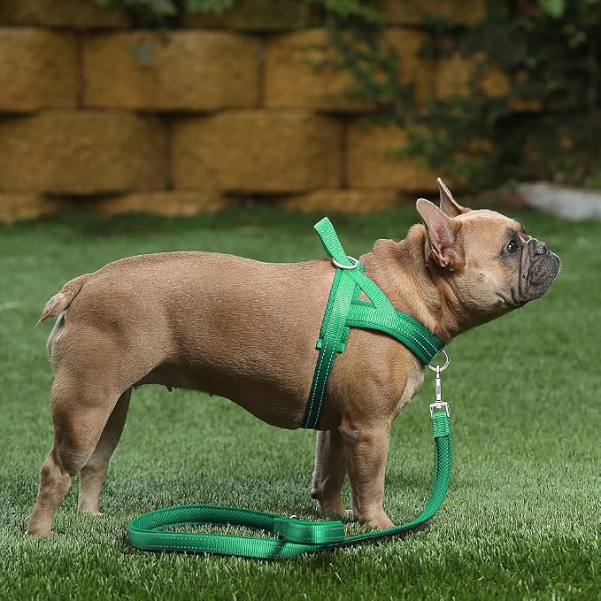 Plutus Pet No Pull Dog Harness for Medium Sized Dog, Breathable Mesh Padded | Adjustable Reflective with Handle, Escape Proof, Quick Fit Pet Vest, Front Clip, for Training and Walking, Green, M