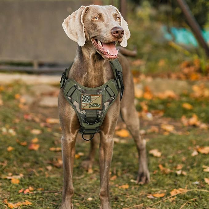 rabbitgoo Tactical Dog Harness for Small, Heavy Duty Military No Pull Vest | Sturdy Metal Buckles, 5 Adjustments, Molle System, Powerful Pullers for Training, Hunting, Outdoor, Green Camo, Small