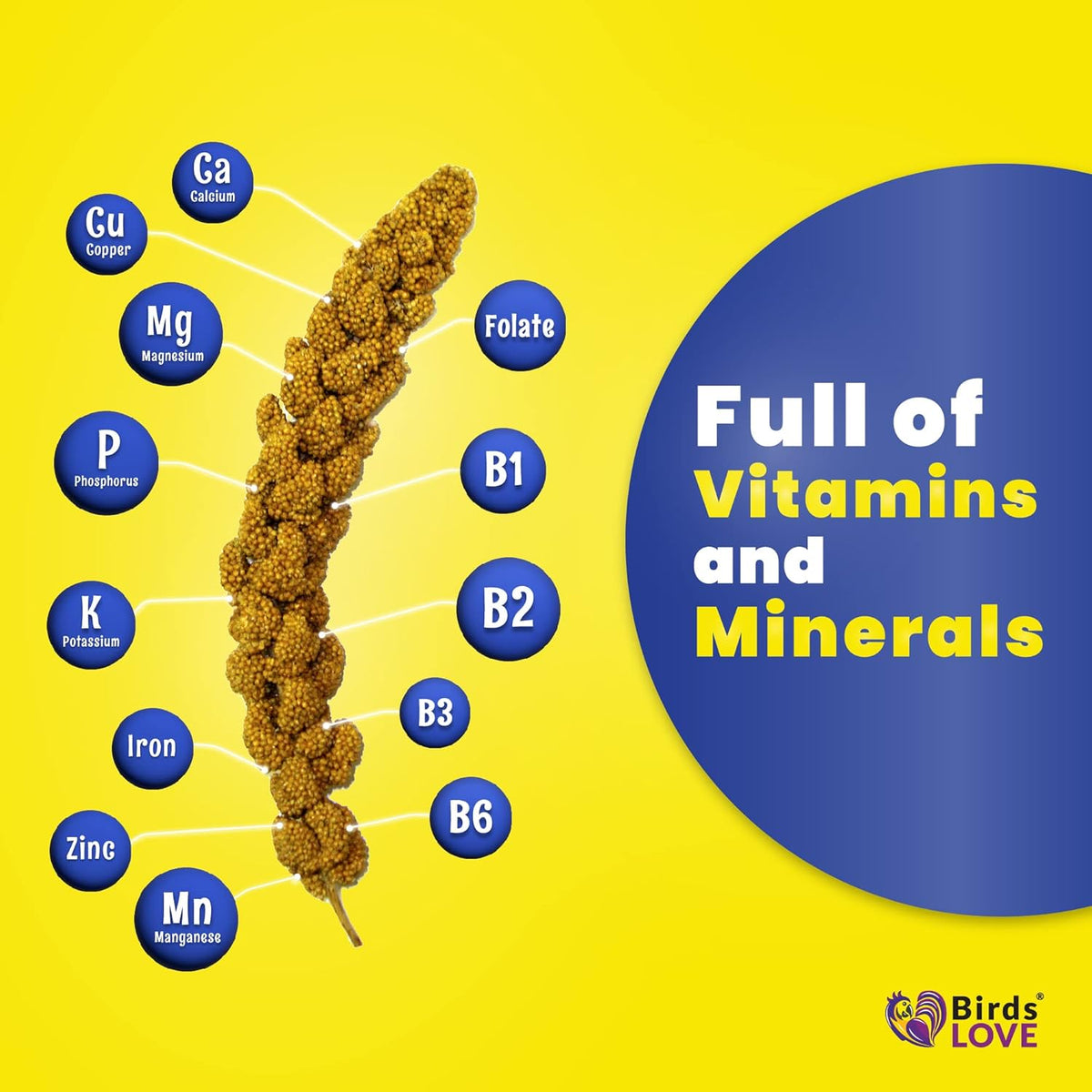 Birds LOVE Economy & Thin Special Spray Millet – 5 lb GMO-Free, No Stems (Only Edible Tops) – Healthy Treat for Cockatiels, Lovebirds, Parakeets, Finches & Canaries