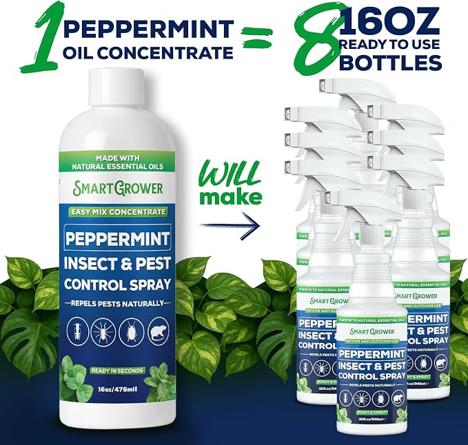 Peppermint Insect & Pest Control Best Value Concentrate - Repels Insects & Pests for Home, Indoor, Outdoor, Garden - Maximum Strength Concentrate (Makes Two Gallons RTU) 16 oz