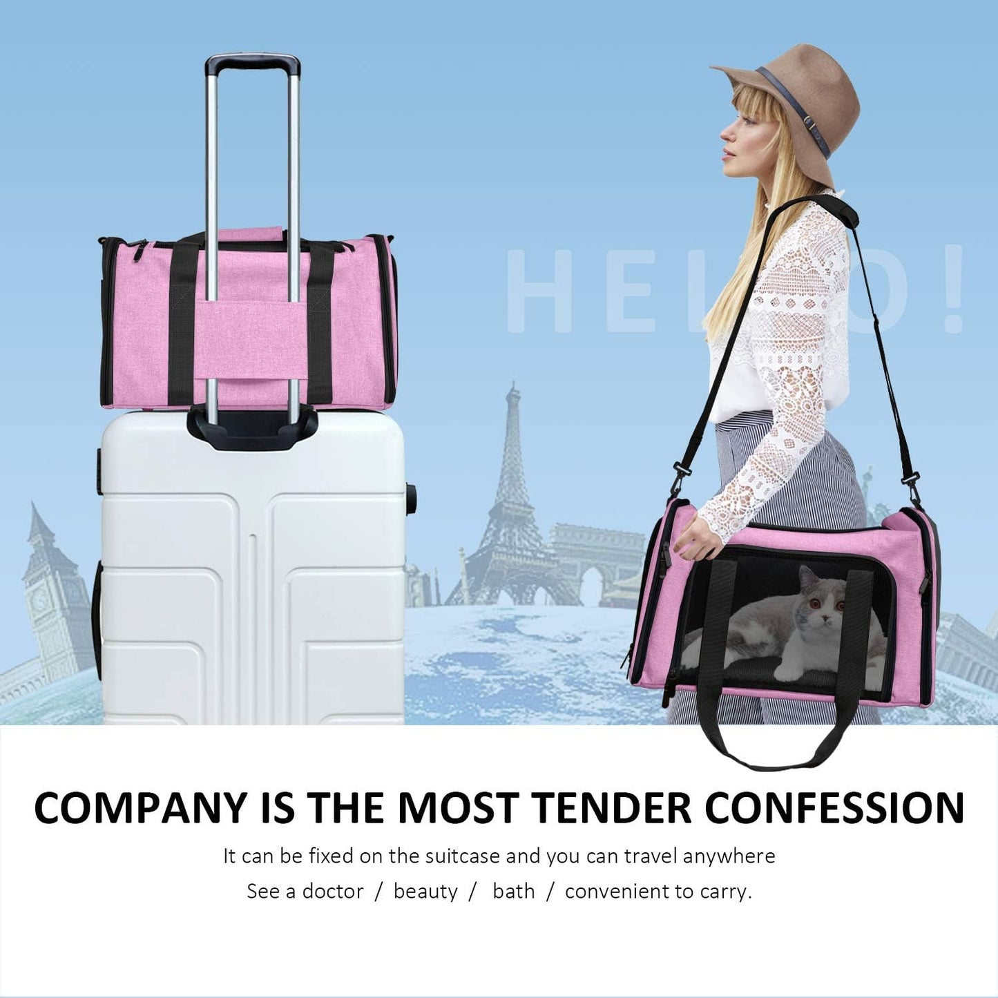 Large Cat Carriers Dog Carrier Pet Carrier for Large Cats Dogs Puppies up to 25Lbs, Big Dog Carrier Soft Sided, Collapsible Travel Puppy Carrier - Large - Pink