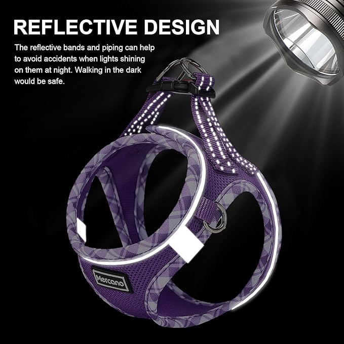 Mercano Soft Mesh Dog Harness and Leash Set, No-Chock Step-in Reflective Breathable Lightweight Easy Walk Vest Harnesses with Safety Buckle for Small Dogs, Cats (XXS, Purple)