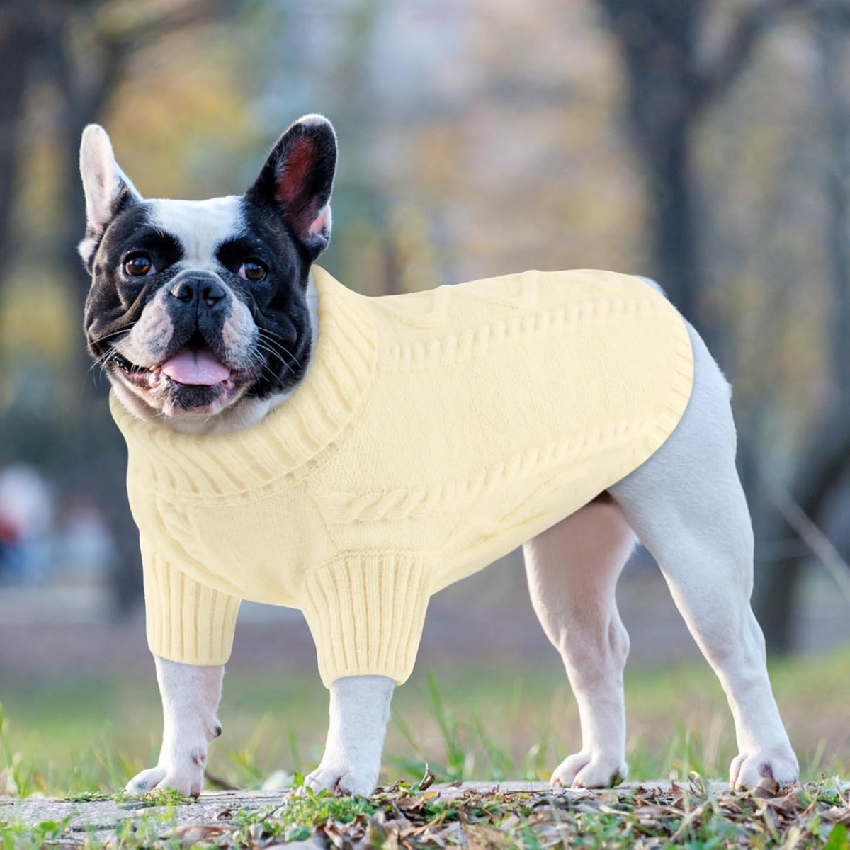Queenmore Small Dog Pullover Sweater, Cold Weather Cable Knitwear, Classic Turtleneck Thick Warm Clothes for Chihuahua, Bulldog, Dachshund, Pug (White, Small)