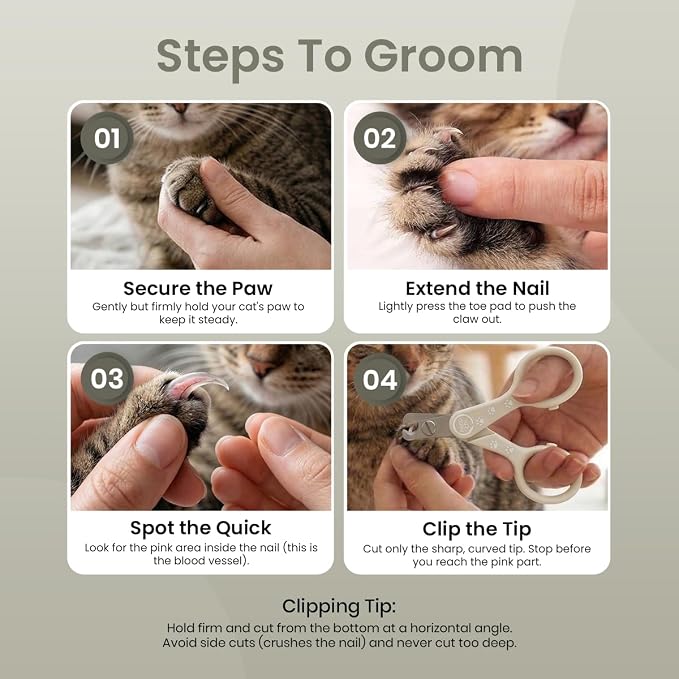 Necoichi Purrcision Feline Nail Clippers | Lever Principle Cat Nail Clipper | Butter-Smooth Cuts | Made in Japan, Seki Swordsmith Craftsman | Stainless Steel Cat Claw Trimmer for Indoor Cats (Gray)