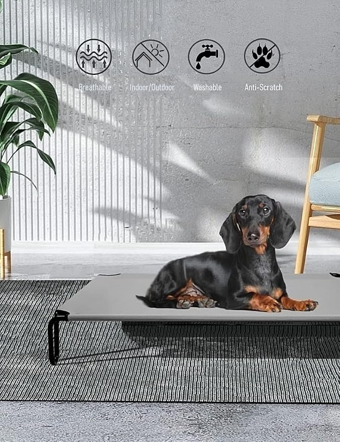 Elevated Dog Bed, 35 x 28 x 8 inches (Small, Grey)