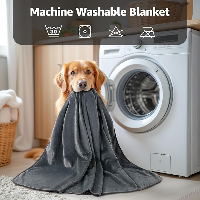 LOOBANI Waterproof Blanket for Queen Bed, Reversible Soft Flannel, 80"x90" | Waterproof Dog Blankets for Large Dogs, Spill-Proof Couch Cover for Family Movie Nights, Camping, Travel, Noise Free, Grey