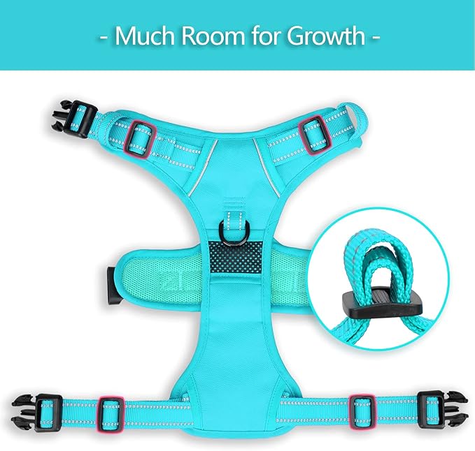 PoyPet No Pull Dog Harness, Reflective Vest with 2 Leash Clips & Handle | Lockable Neck Release Buckle, No Choke, Adjustable, Soft Padded, for Walking Training, Mint Blue Matching Trim, X-Large