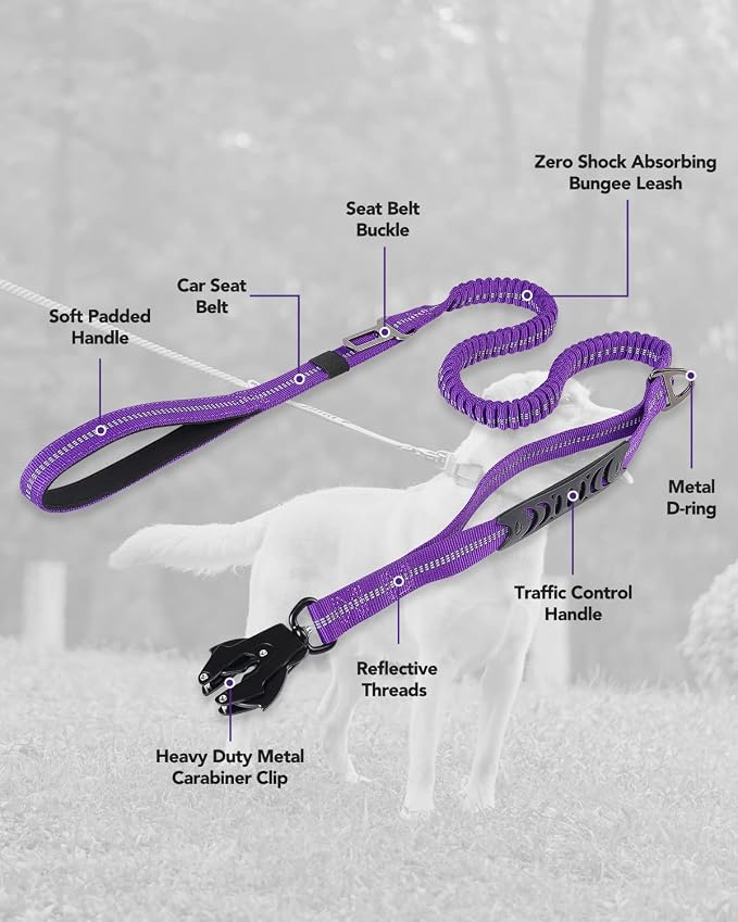 Joytale Tactical Bungee Dog Leash, Shock Absorbing No Pull, Purple | for Large Dogs That Pull, 2 Padded Handles for Control, Car Seatbelt Clip, Reflective for Night Safety, Metal Frog Clip