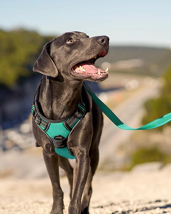Joytale No Pull Dog Harness for Extra Large Dogs, Front Clip, Teal | Grab Handle for Instant Control, Padded & Adjustable Vest, Sturdy Metal D-Rings, for Safe Training & Daily Walking