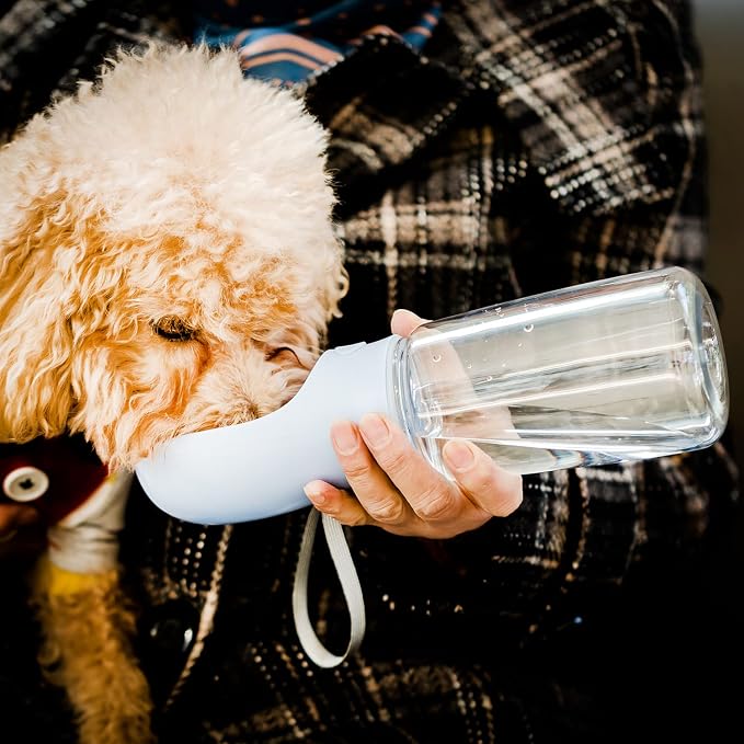 Mr. Pen- Portable Dog Water Bottle, 19 oz, Large | Leak Proof Puppy Water Dispenser with Drinking Feeder for Pets, Outdoor Walking, Hiking, Travel, Not Dishwasher Safe