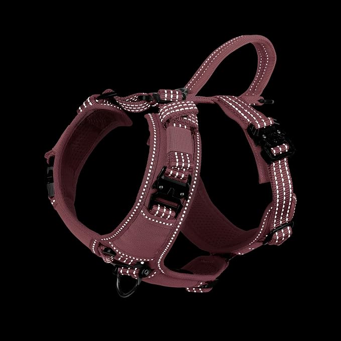 ICEFANG Dog Halter Harness with Metal Buckles,Dog Strap Vest for Small Dogs | Control Handle,Summer-Cooling,Reflective,Front Hook,Adjustable,Soft Padded,No Pull,Pink,Small