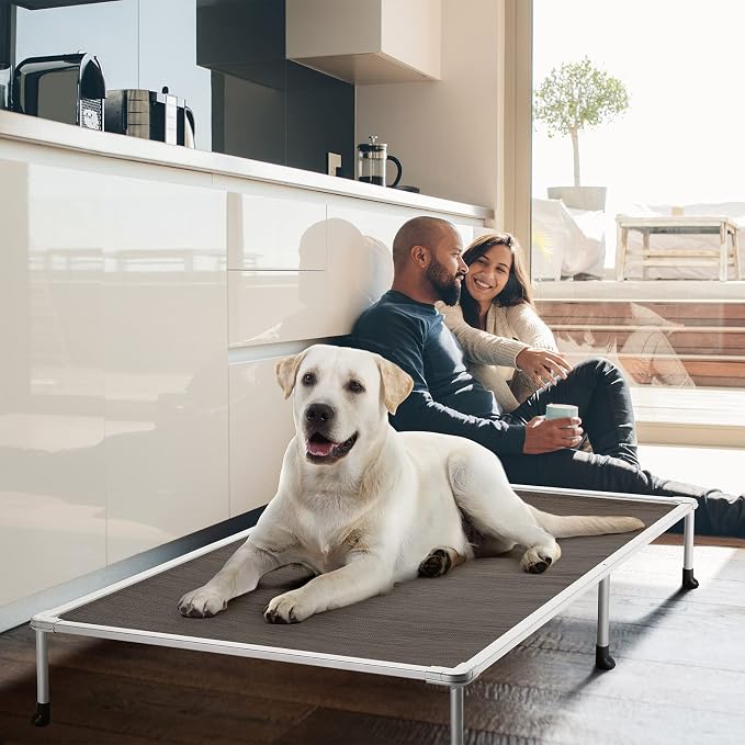 Veehoo Chewproof Elevated Dog Bed - Cooling Raised Pet Cot, Breathable Mesh, Washable & Non-Slip for Large Dogs, Indoor/Outdoor, Brown Mat and Silver Metal Frame, 59x37inches (Model CWC2203B03)