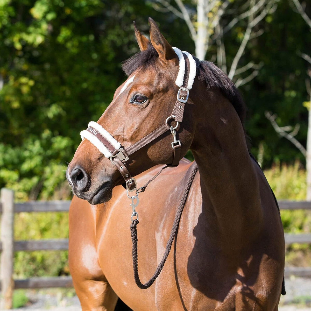 HORZE Howard Padded Fleece Comfortable Adjustable Polyester Horse Halter - Dark Brown - Warmblood
