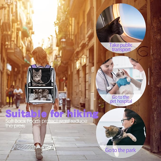 BAGLHER Expandable Pet Carrier Backpack,Pet Bubble Backpack for Small Cats Puppies Dogs Bunny, Airline-Approved Ventilate Transparent Capsule Backpack for Travel, Hiking and Outdoor Use. Purple