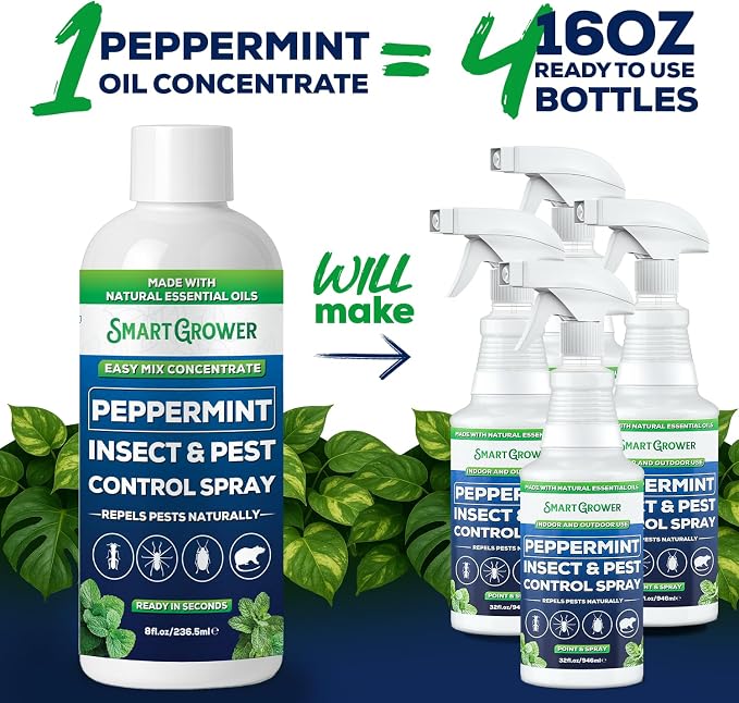 Peppermint Insect & Pest Control Best Value Concentrate - Repels Insects & Pests for Home, Indoor, Outdoor, Garden - Maximum Strength Concentrate (Makes Half Gallon RTU) 4 oz