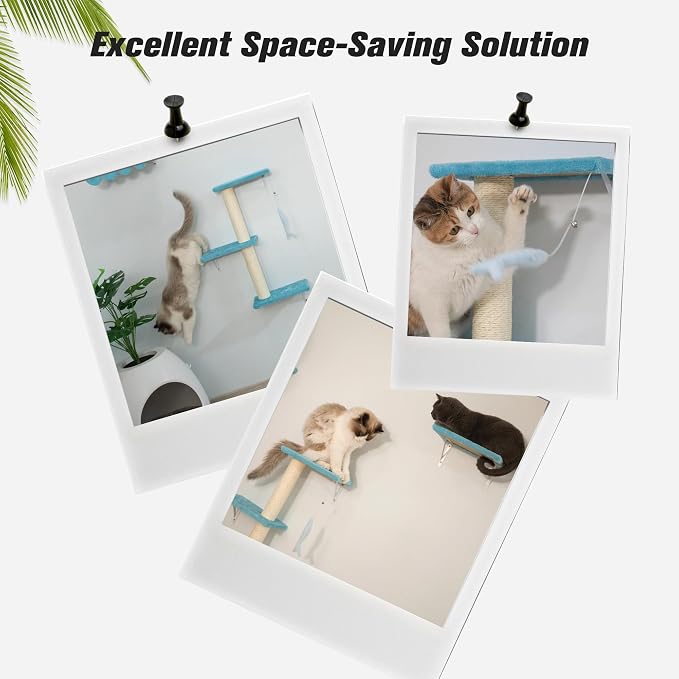 5 Pcs Wall-Mounted Climber Set, Wood Indoor with Shelves and Perches, Ladder, Condo House, Scratching Board and Tree, Wall Shelves Furniture for Cats (Ocean Blue)