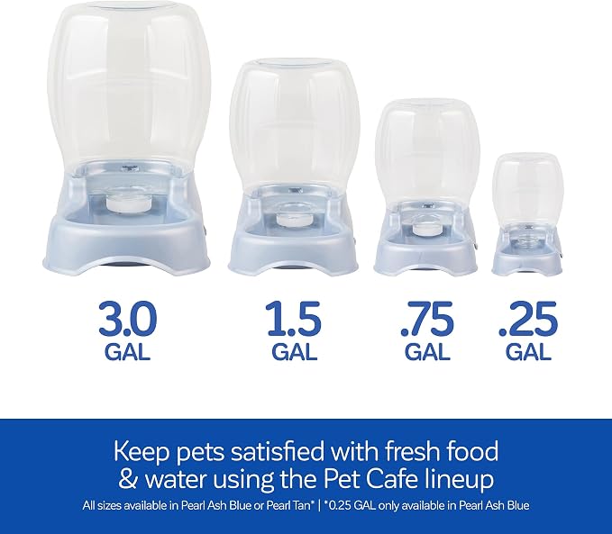 Petmate Pet Cafe Cat and Dog Water Dispenser Extra Small Water Bowl for Kittens and Puppies, USA Made, 0.25 GAL, 7.3"H, Pearl Ash Blue