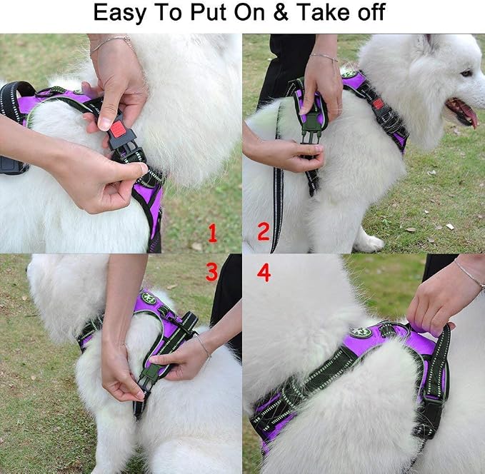 PoyPet No Pull Dog Harness Small with Front Clip & Neck Release Buckle | No Choke, Adjustable Vest, Reflective, Back Clip, Lockable, Soft Padded, Easy Control Handle for Walking Training, S, Purple