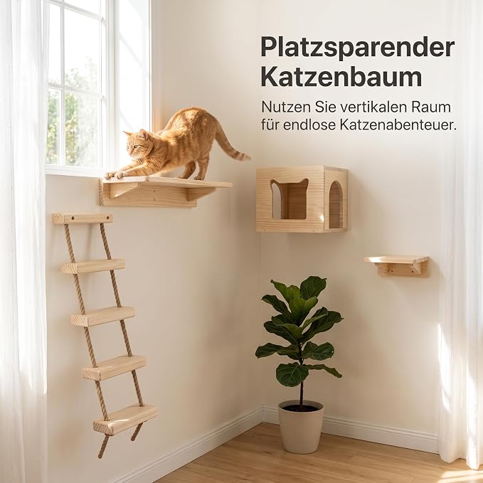 with Shelves for Climbing and Play, Cat House