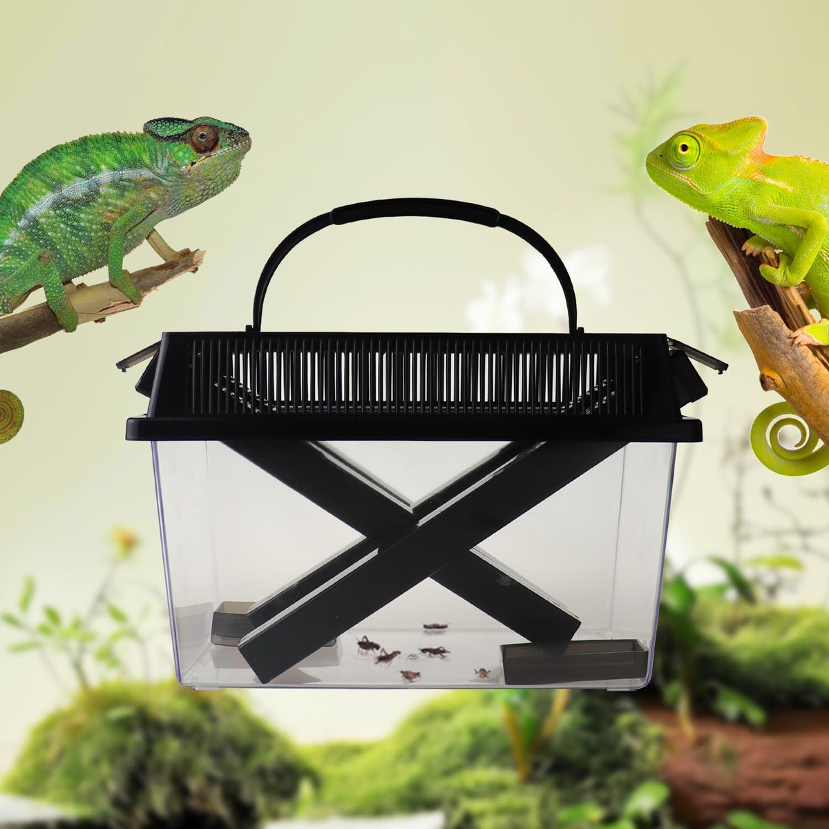 Reptile Cricket Keeper, Transparency Cricket Pen with Tubes, Insect Keeper with Water & Food Bowls for Bearded Dragon Gecko Lizards Chameleon Snake