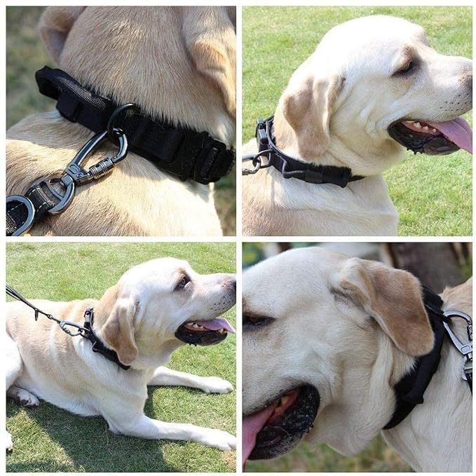 Tactical Dog Collar and Leash Set Adjustable Military Nylon Dog Collar with Control Handle and Heavy Duty Metal Buckle for Large Dogs (Black L | 1000D Heavy-Duty Nylon Fabric,Quick-Release Metal Buckle,Adjustable Fit,Soft-Padded Webbing,D-Ring,for Trai...