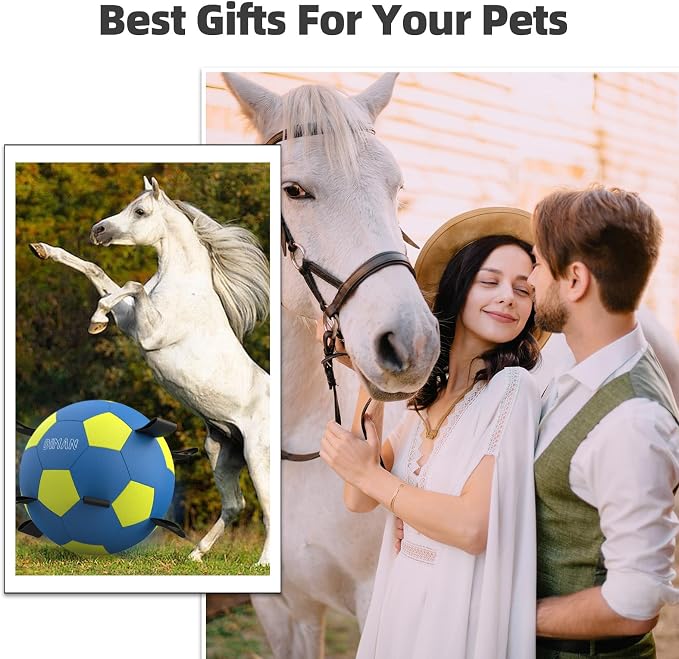 Diman Herding Ball for Dogs: 25 Inch Horse Balls for Outdoor Play, Large Dog Toys Balls for Australian Shepherd, Dogs or Horses, Blue Yellow