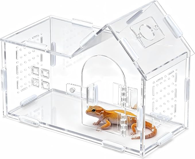 Acrylic Terrarium Jumping Spider Enclosure: Magnetic Front Door Terrarium | Tarantula House with Sloped Roof - All-Side Ventilation Caterpillar Habitat Small Bug Cage for Snail Insect Mantis Spider