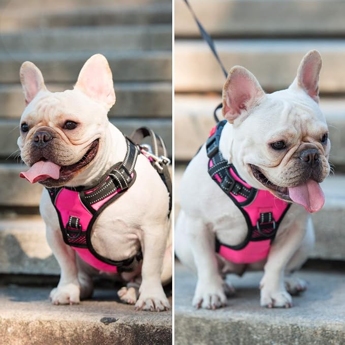PoyPet No Pull Dog Harness Medium with Front Clip & Neck Release Buckle | No Choke, Adjustable Vest, Reflective, Back Clip, Lockable, Soft Padded, Easy Control Handle for Walking Training, M, Pink