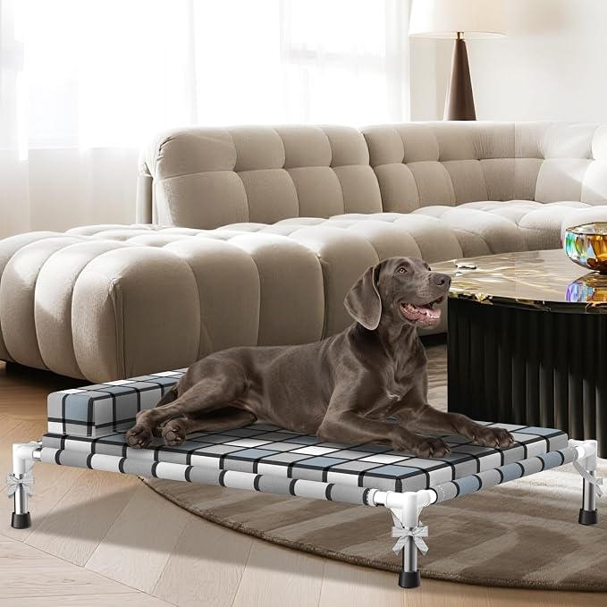 Elevated Dog Bed with Cushion & Bolster, Raised Dog Beds with Pillow & Mat | Cooling Lifted Large Indoor Outdoor Portable Lifted Pet Cot Stainless Steel Frame Indoor Outside Breathable Hammock Beds