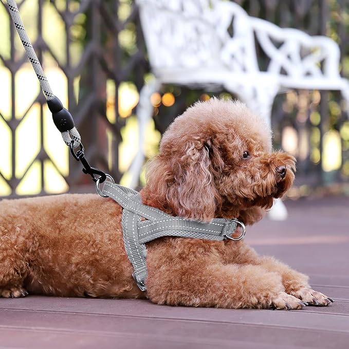 Plutus Pet No Pull Dog Harness for Puppy Small Dogs, Breathable Mesh Padded | Adjustable Reflective with Handle, Escape Proof, Quick Fit Pet Vest, Front Clip, for Training and Walking, Gray, XS