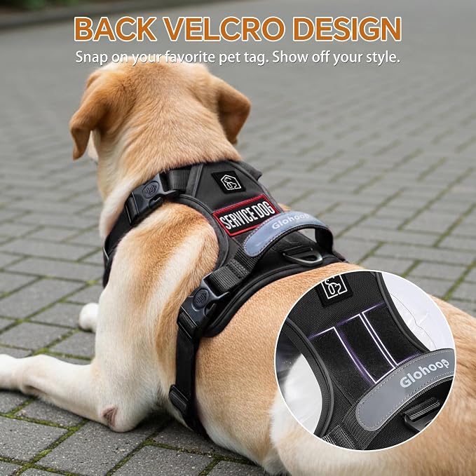 Heavy Duty Tactical Dog Harness for Small Dogs, No Pull Dog Harness with Handle & Front Clip, Reflective Soft Padded, Hook and Loop Panel, Dog Vest for Walking, Service Training, Black