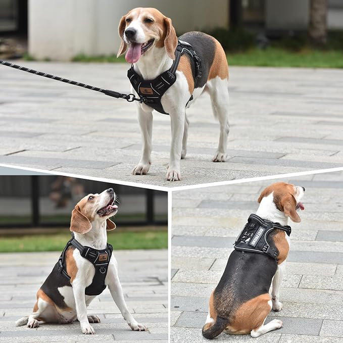 Heavy Duty Dog Harness with Handle, No Pull Adjustable Outdoor Vest with Metal Buckles, MOLLE Panel & Reflective Strips for Medium Large Dogs