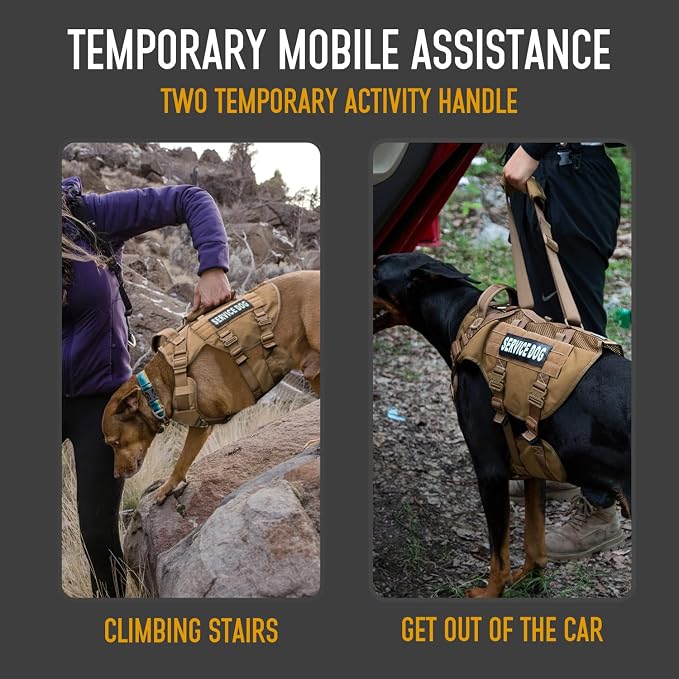 Service Dog Vest for Large Dogs, Brown Tactical Harness with Military MOLLE, Breathable Mesh & 39g Metal Buckle - Size XL for Training & Hiking