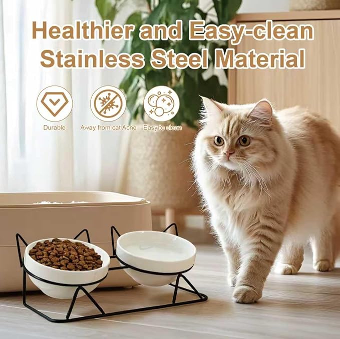 Elevated Tilted Cat Bowls for Indoor Cats,Raised Ceramic Cat Bowl Elevated 15°,Pet Feeding Bowls for Food and Water Anti Vomiting Bowl(Double Ceramics and Tilt Shelf) Suitable