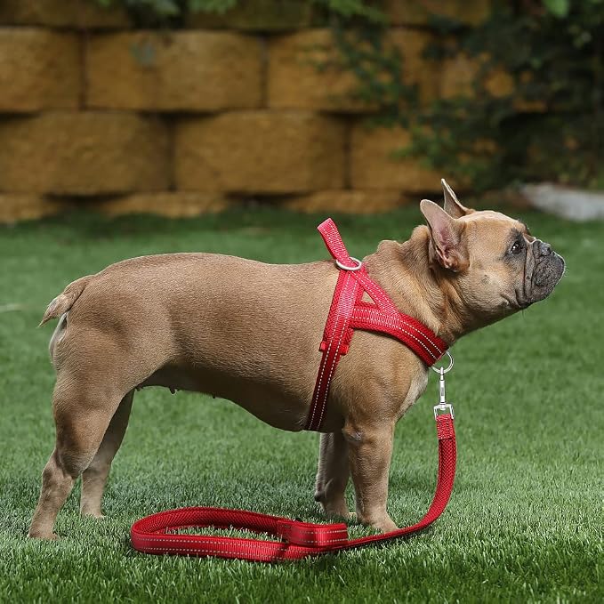 Plutus Pet No Pull Dog Harness for Medium Sized Dog, Breathable Mesh Padded | Adjustable Reflective with Handle, Escape Proof, Quick Fit Pet Vest, Front Clip, for Training and Walking, Red, M